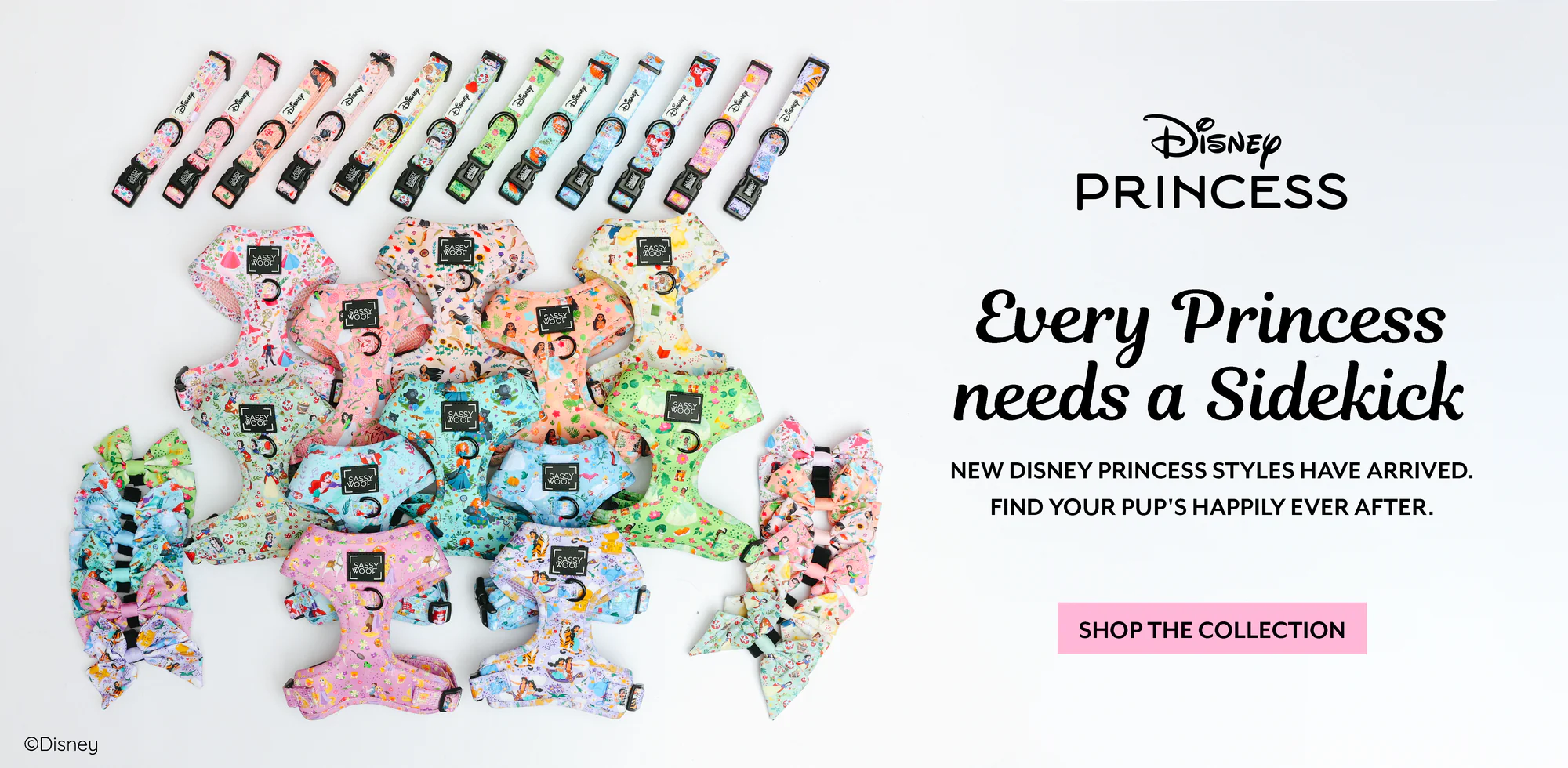 Chic Designs for Sassy Paws